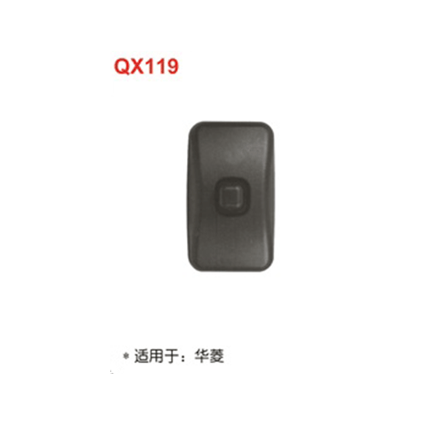 QX119  华菱